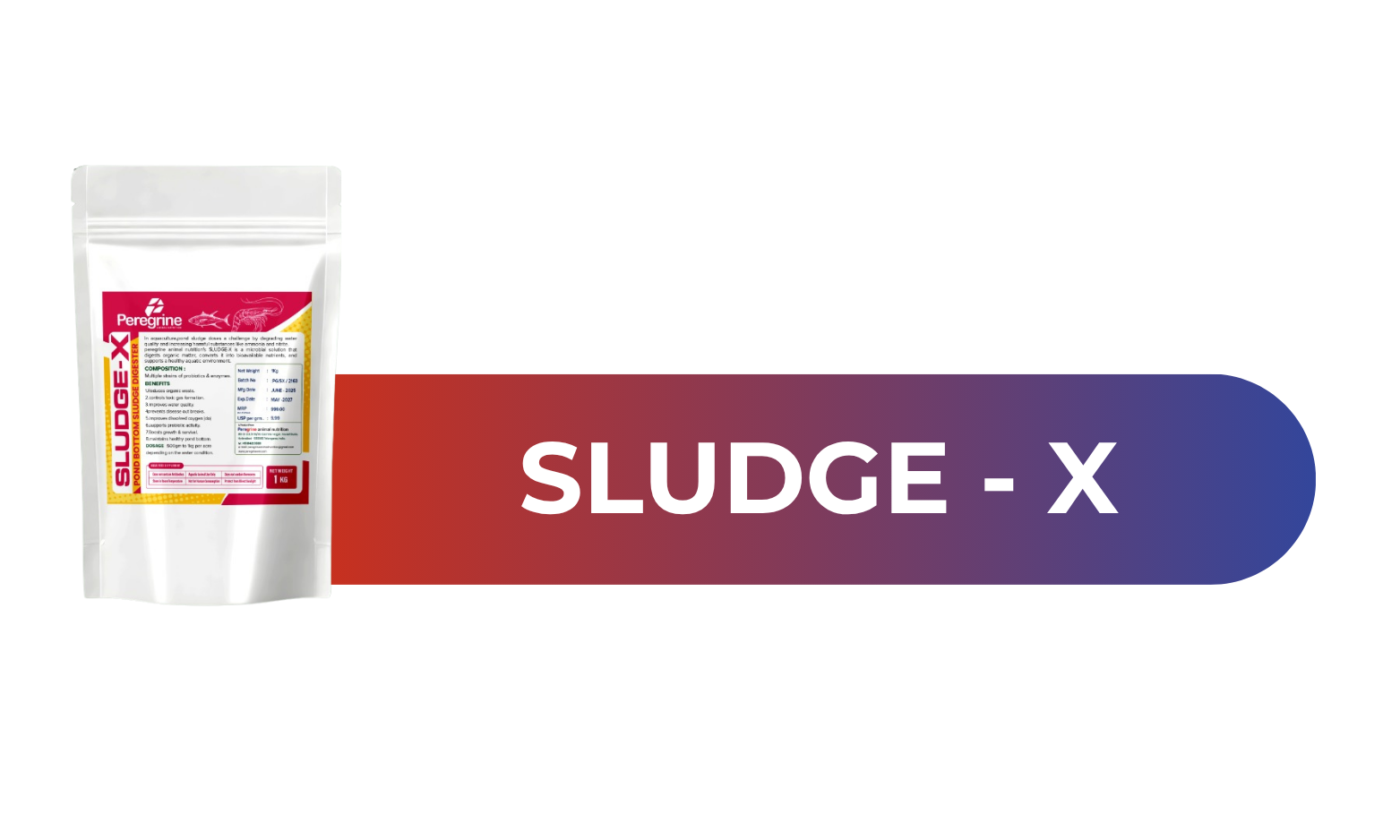 SX